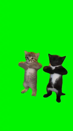Hood Cats