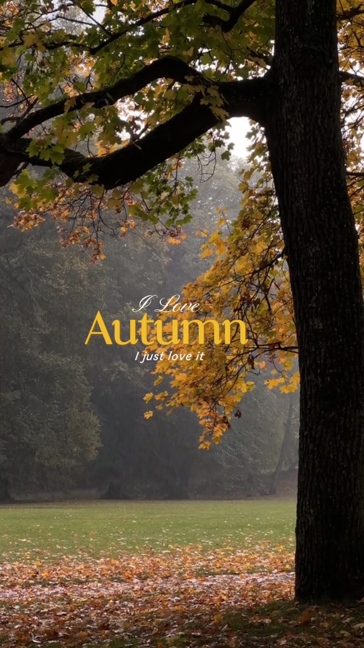 J'aime l'automne 🍂 