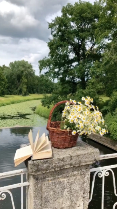 Ästhetische Blume 