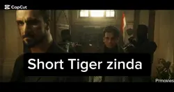 Aik tha Tiger 3