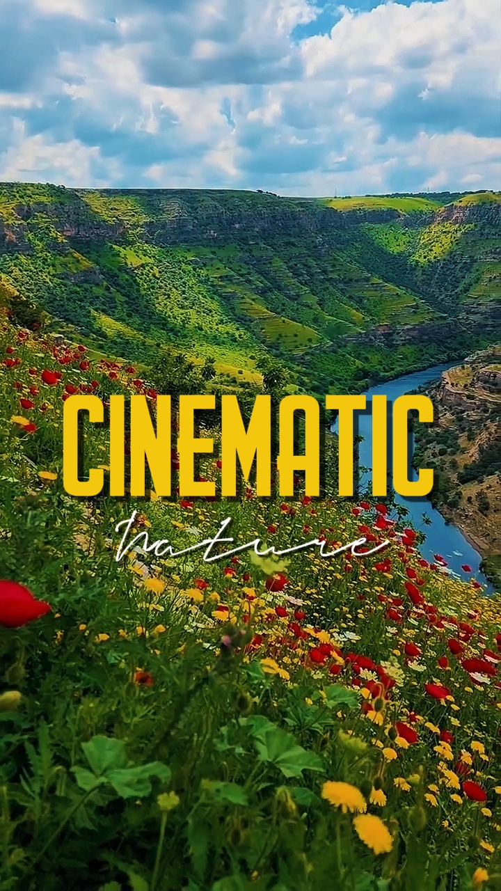 NATURALEZA CINEMÁTICA 