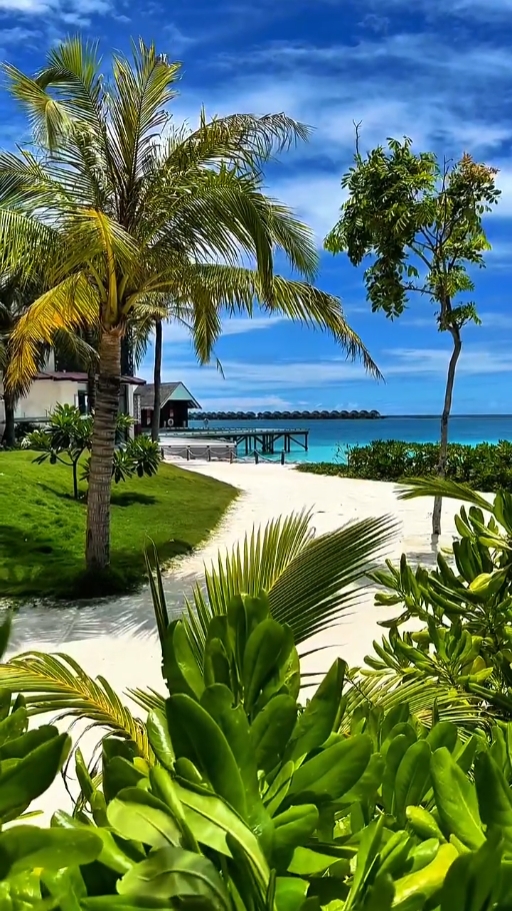 Ambiance de plage
