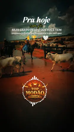 modão Bruto 