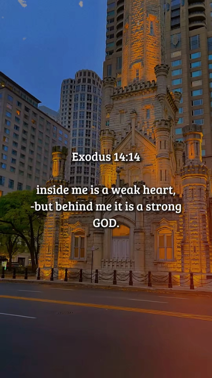 Éxodo 14: 14