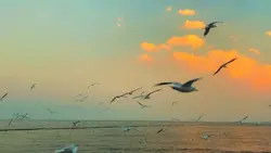 8 video aesthetic