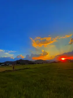 pemandangan estetik