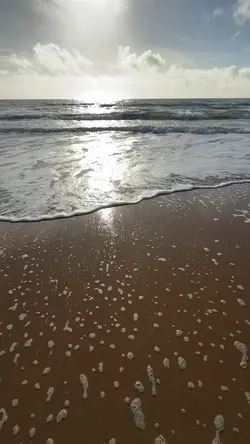 Sea Beach Template
