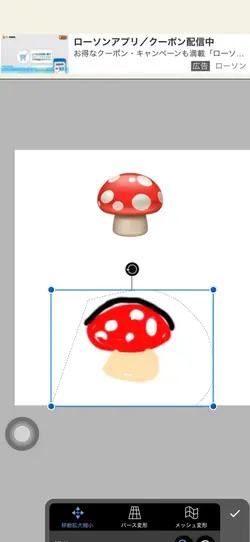きのこ🍄
