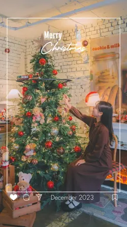6 pic christmas