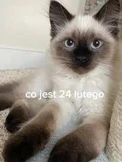 moje urodziny
