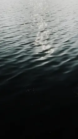 Slowmo