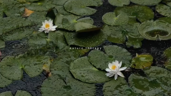 nature therapy