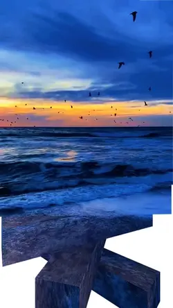 6 videos or photos 
