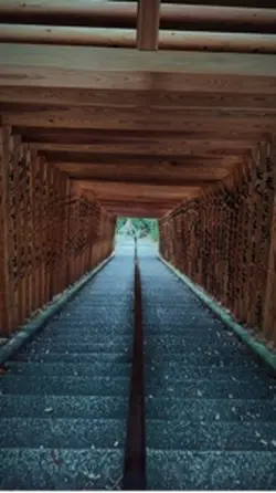 思い出テンプレート✨