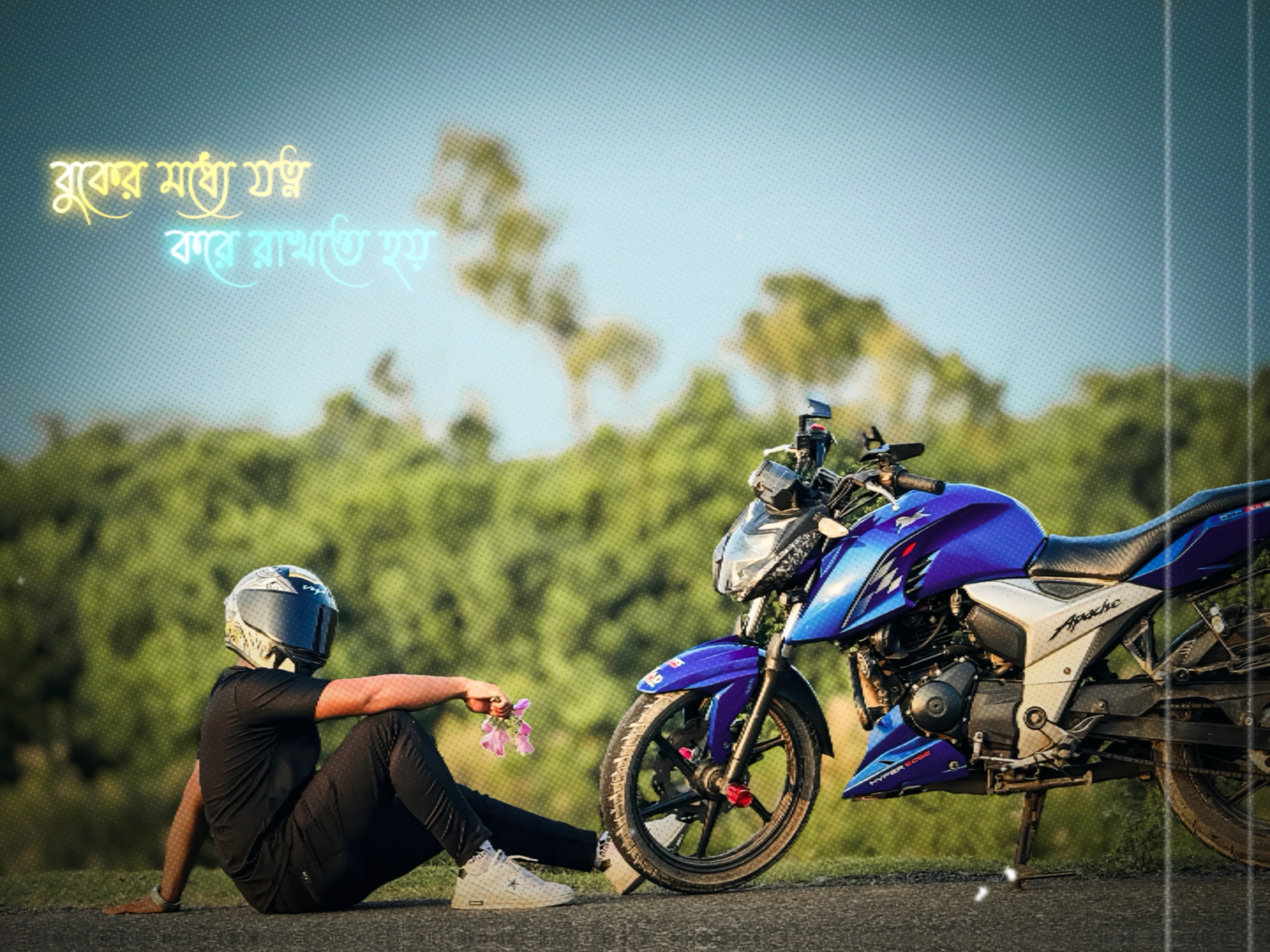 Cover Picture