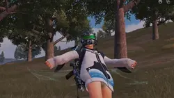 Tren Chicken PUBG