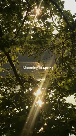 blooming of spring