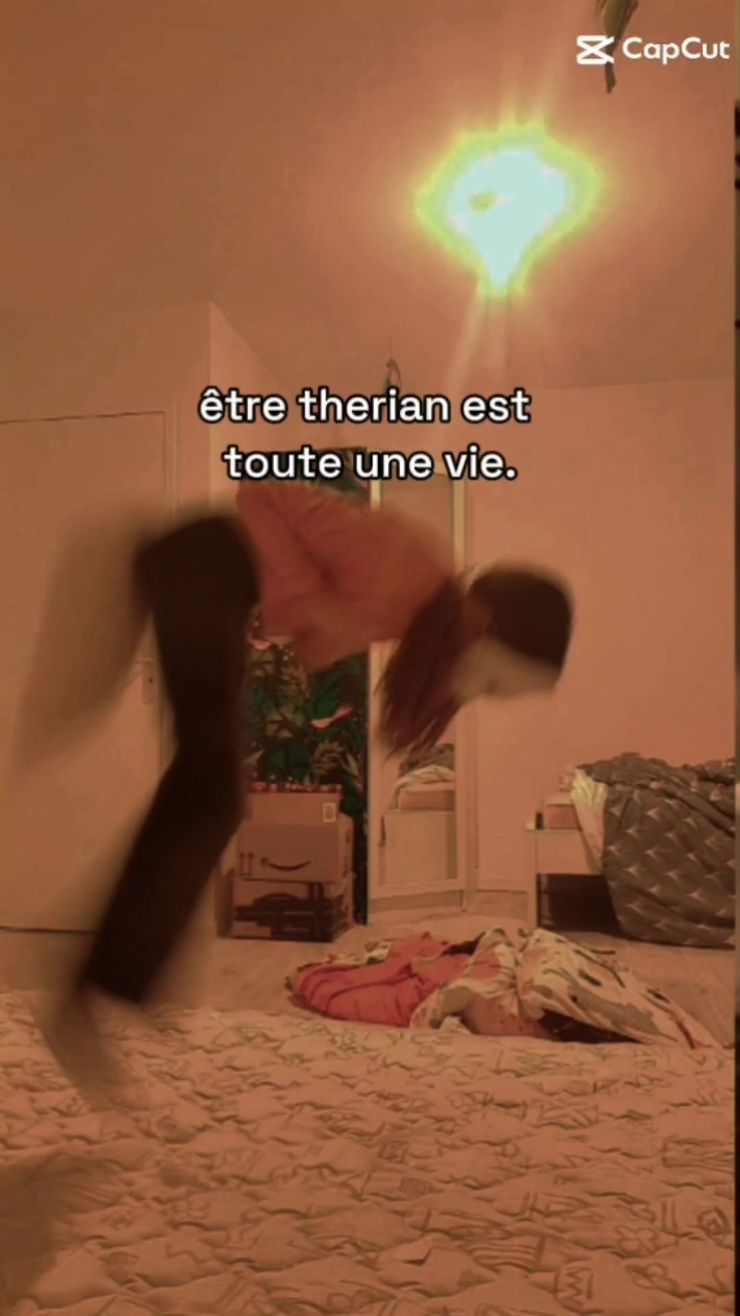 être therian <3