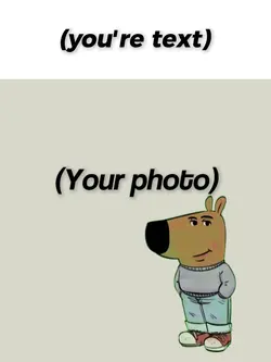 Chill Guy Meme