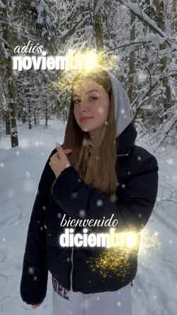 adiós noviembre
