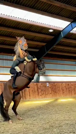 Rearing horse
