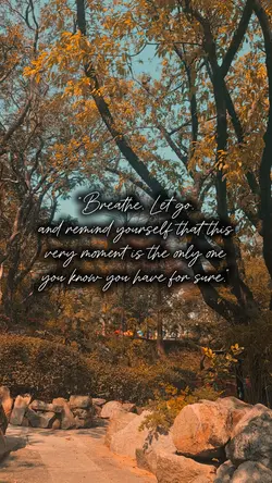 Breathe|40
