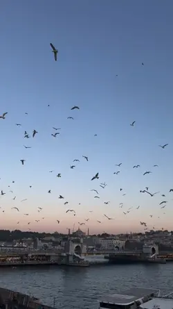slow ses şablon