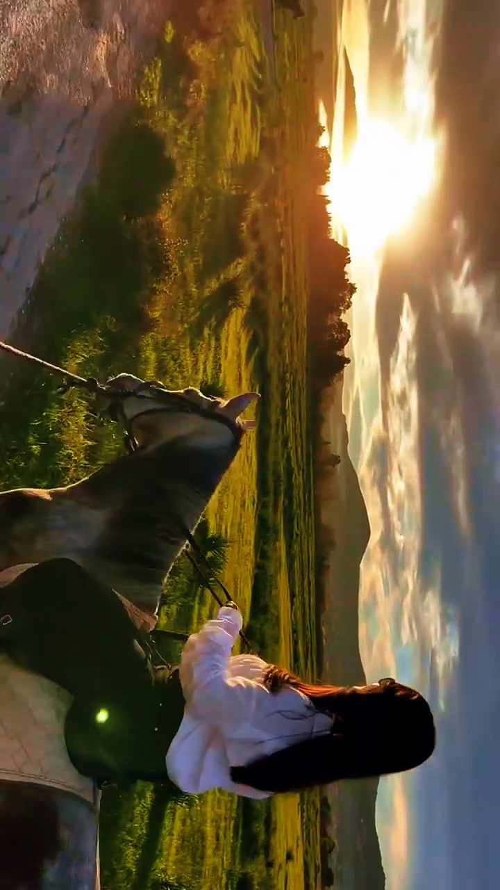 Mini Vlog