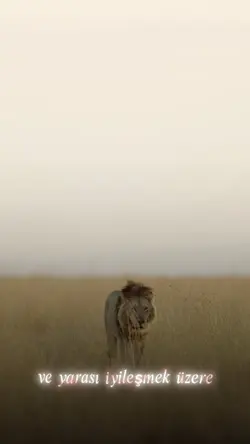 Aslan ölmedi beyler.