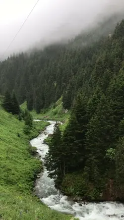 Kadere de aşk olsun 