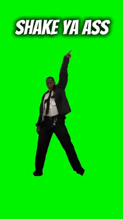 Shake Ya Ass