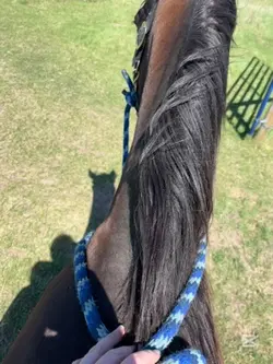 Riding core
