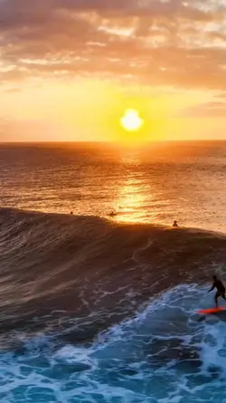 Live While We're Yng