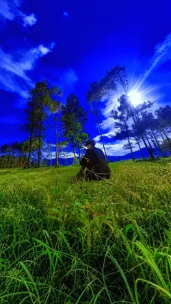 Fill Out X SOUNDkece