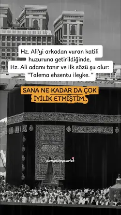 meryemteymurluk