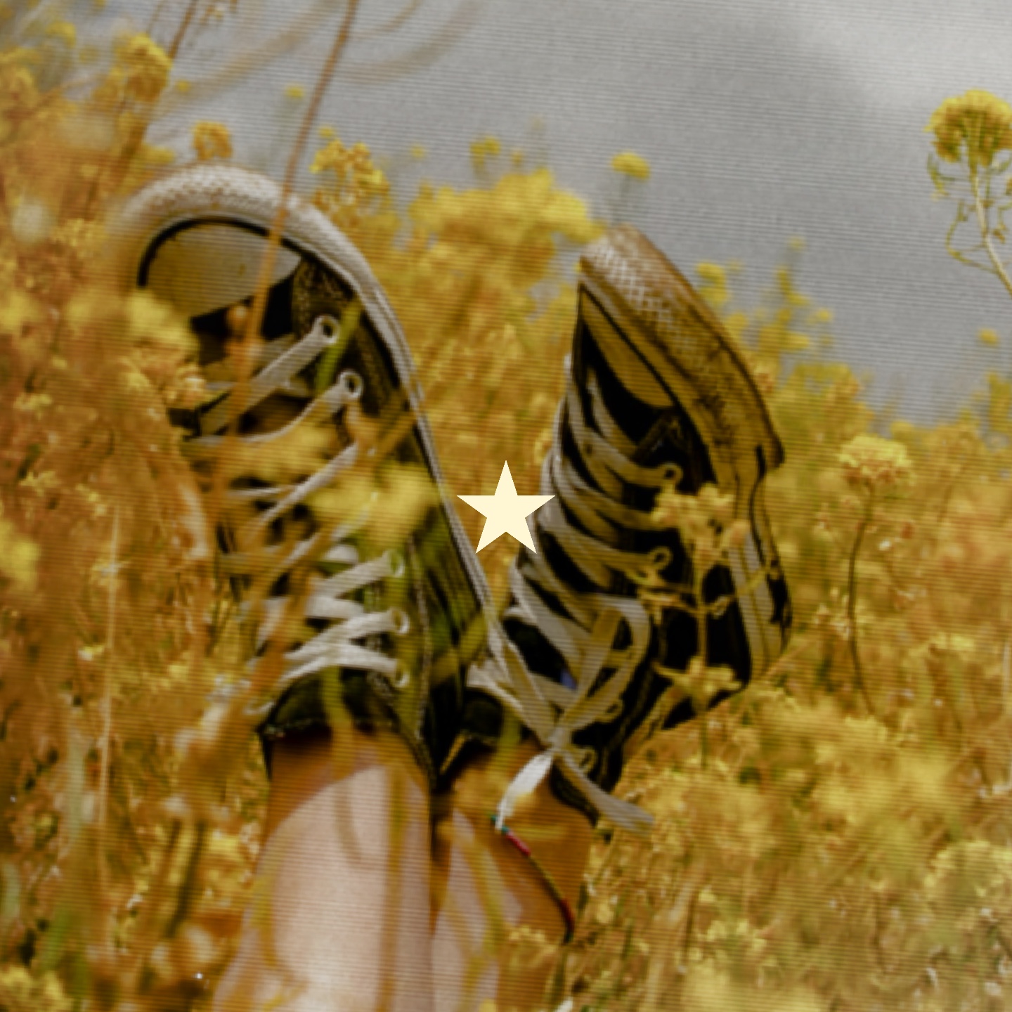 Jaune 