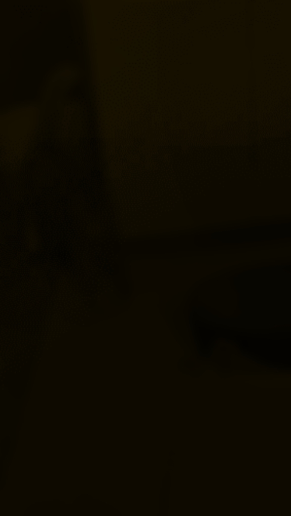 Play Cats slowmo 