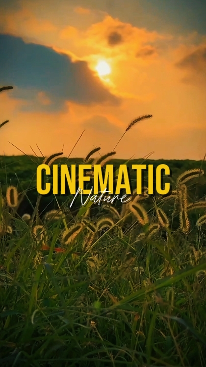 CINEMATIC NATURE