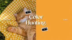 Color hunting