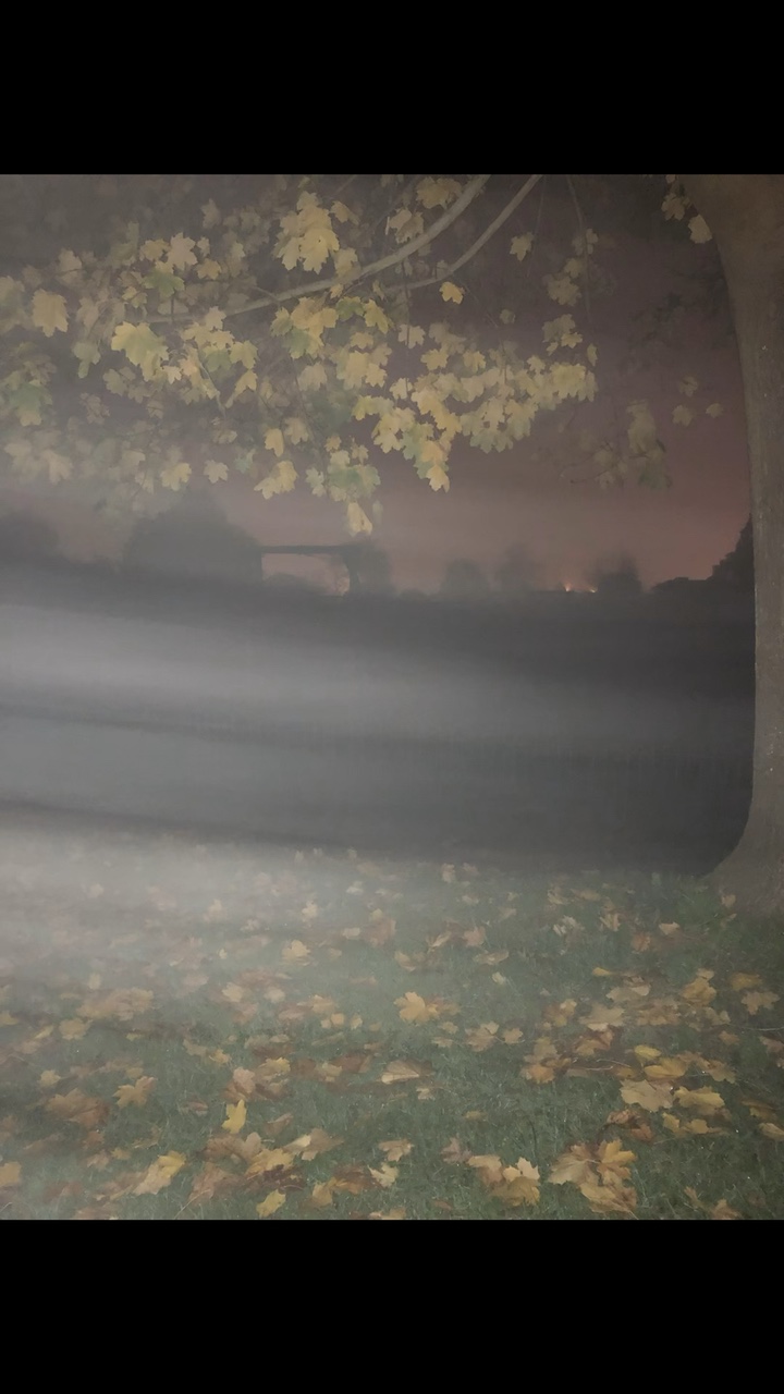 I SCREAM THIS SHI NO