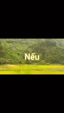 Mẫu 9 clips - cảnh