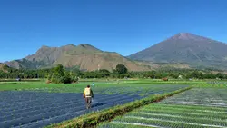 Sinematik santai🌿