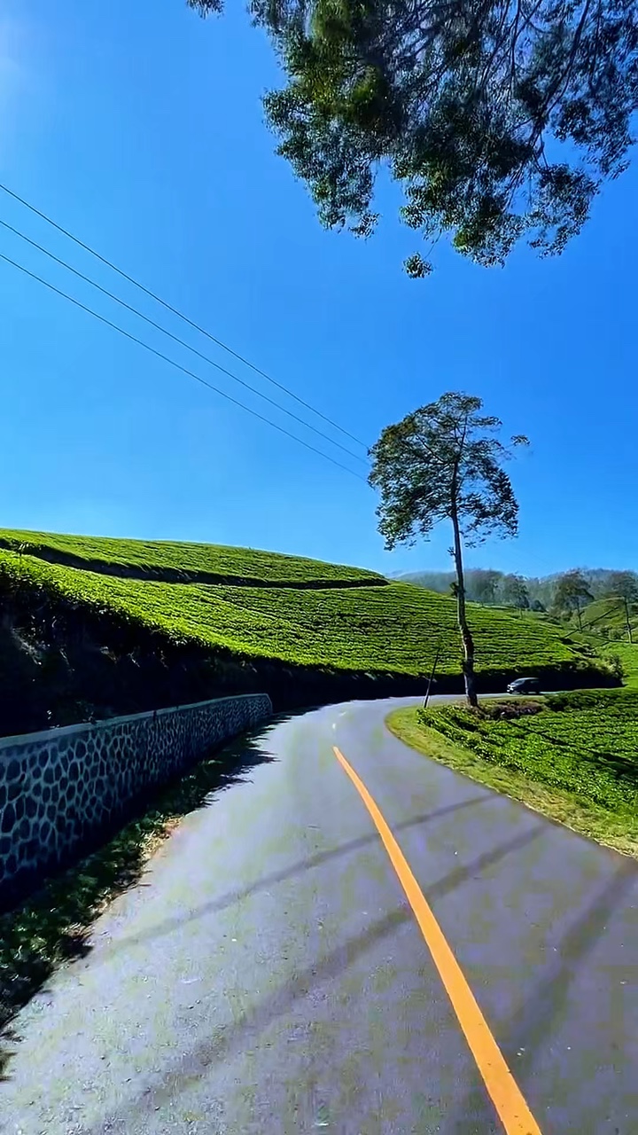 road trip