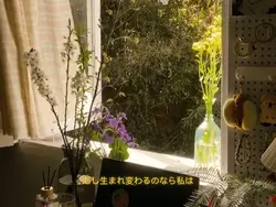 Princess jellyfish 🪼