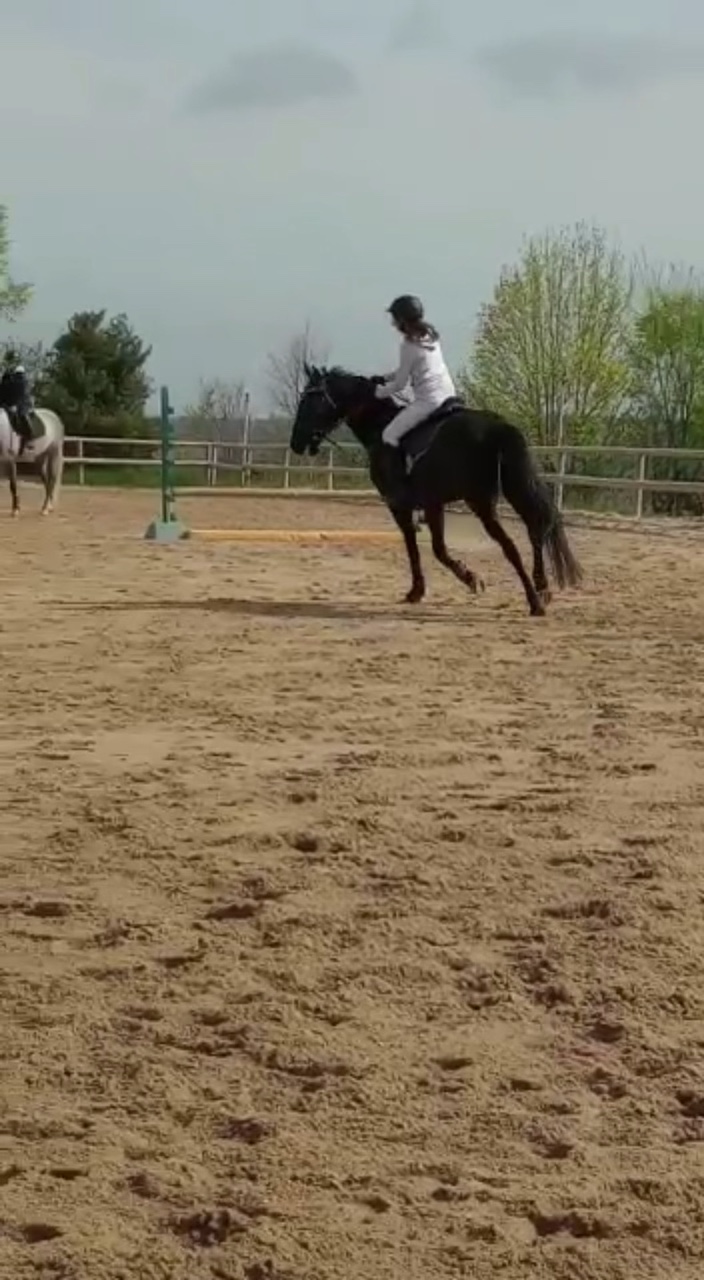 Changement de pied 😍