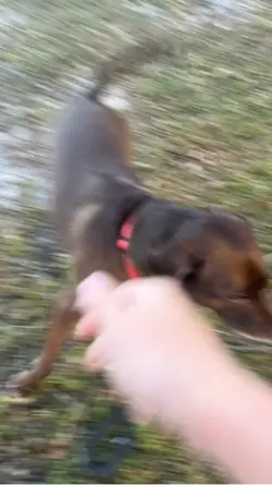 Training improvement