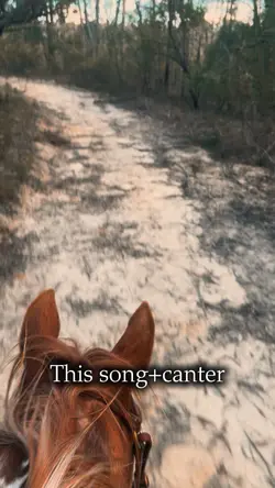 Canter+this song