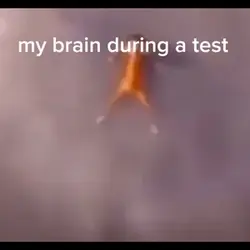pov: my brain during