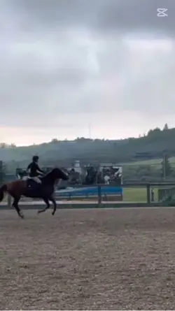 DAY 1