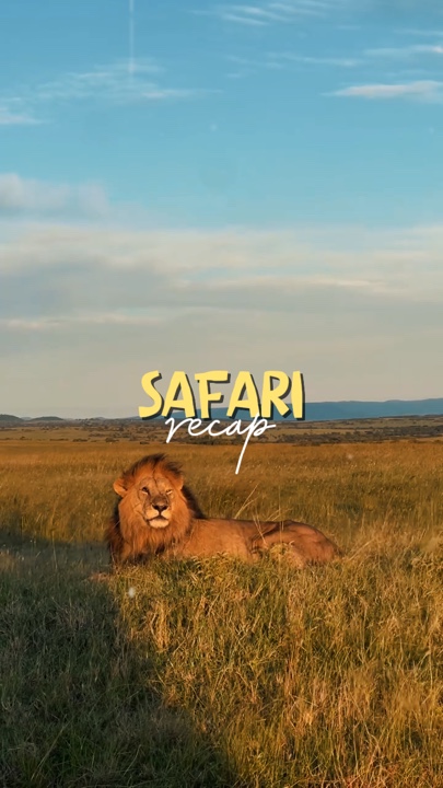 Safari recap